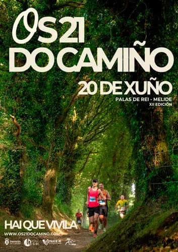 Cartel Os 21 do Camiño - Palas de Rey